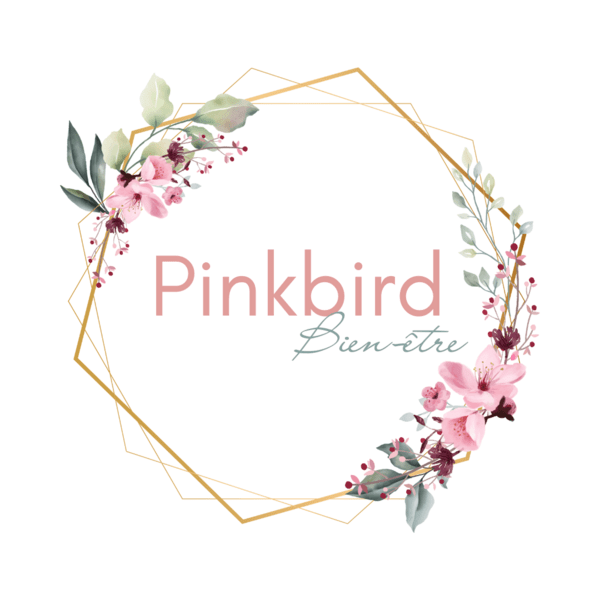 Logo pinkbird bien-être