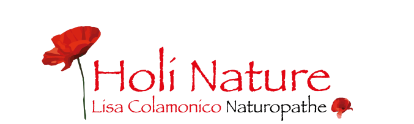 logo holi nature