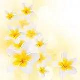 logo Étincelle de bien être carpe diem