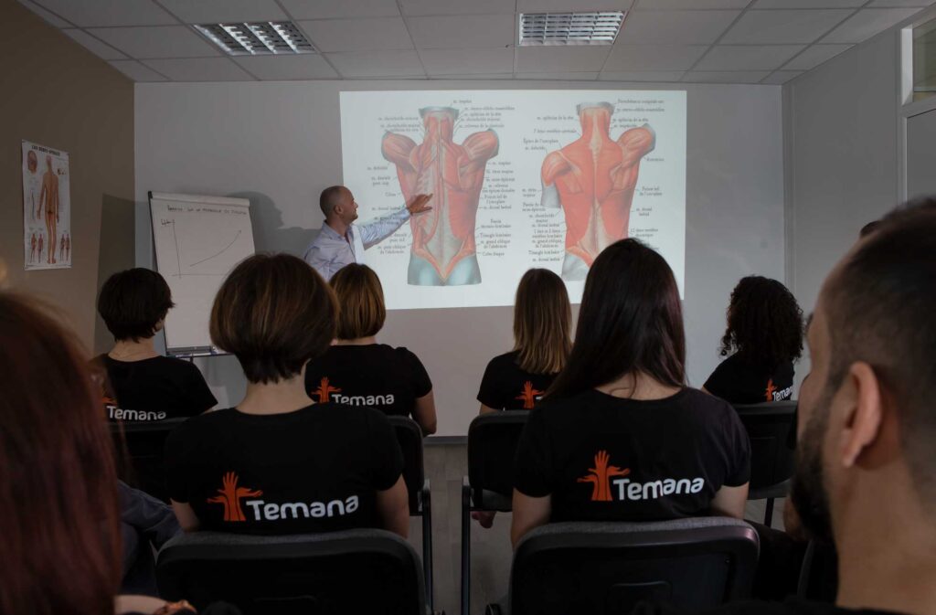 formation massage reconnue formation anatomie palpatoire