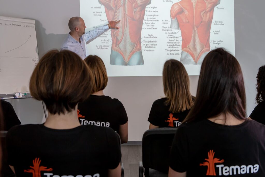 formation anatomie palpatoire