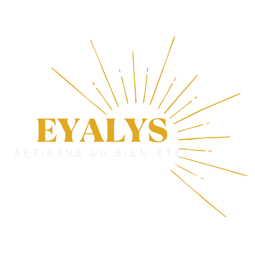 logo fabien soilly