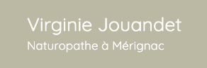 logo virginie jouandet